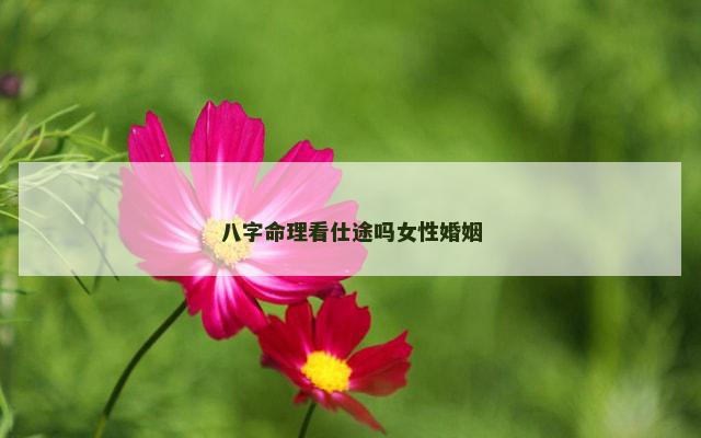 八字命理看仕途吗女性婚姻