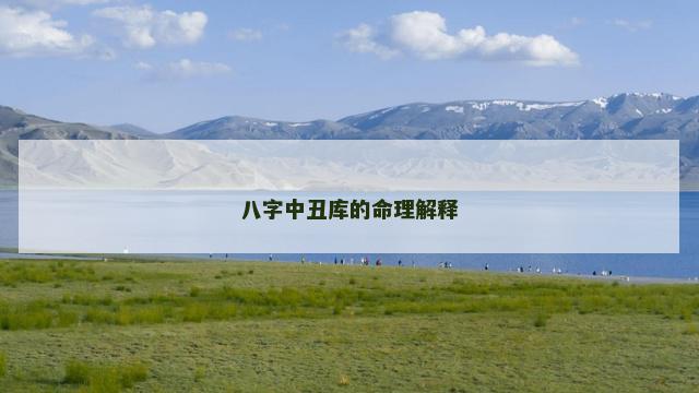 八字中丑库的命理解释