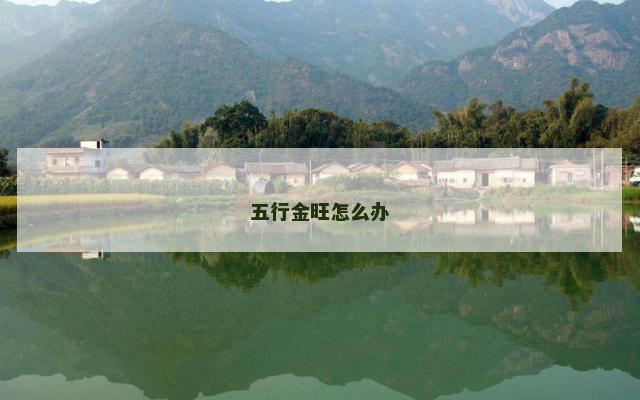 五行金旺怎么办