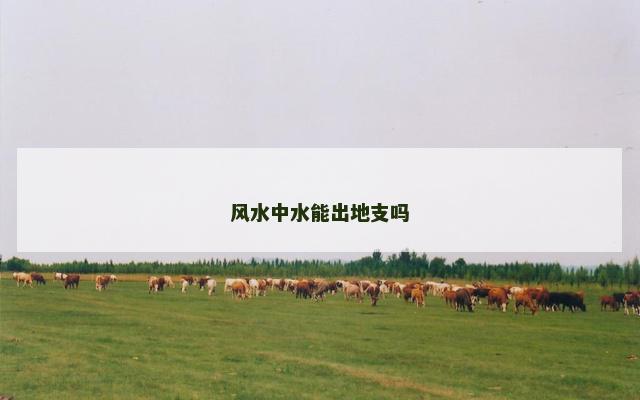 风水中水能出地支吗