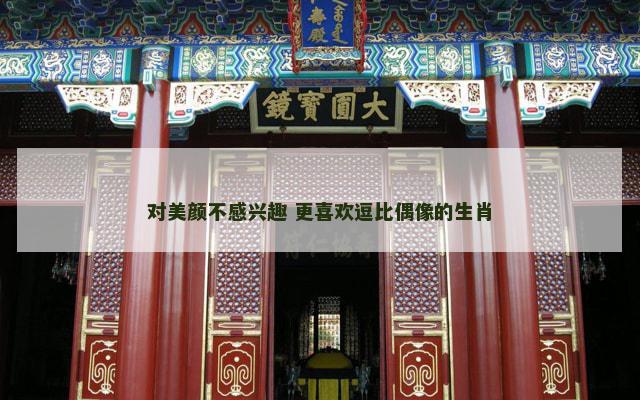 对美颜不感兴趣 更喜欢逗比偶像的生肖