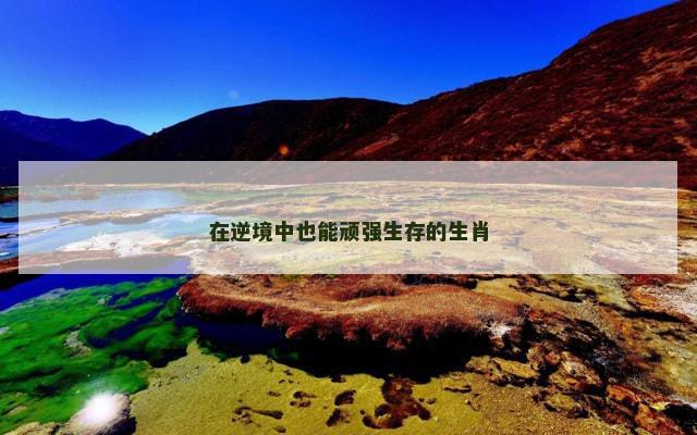 在逆境中也能顽强生存的生肖