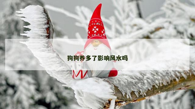 狗狗养多了影响风水吗