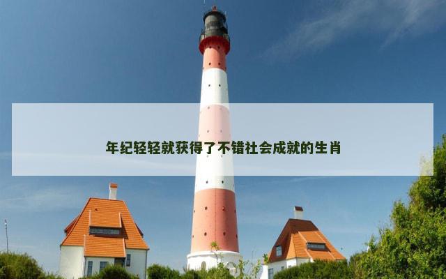 年纪轻轻就获得了不错社会成就的生肖