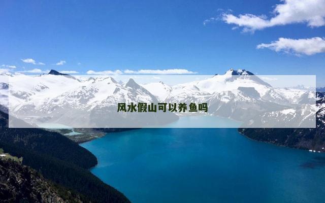 风水假山可以养鱼吗