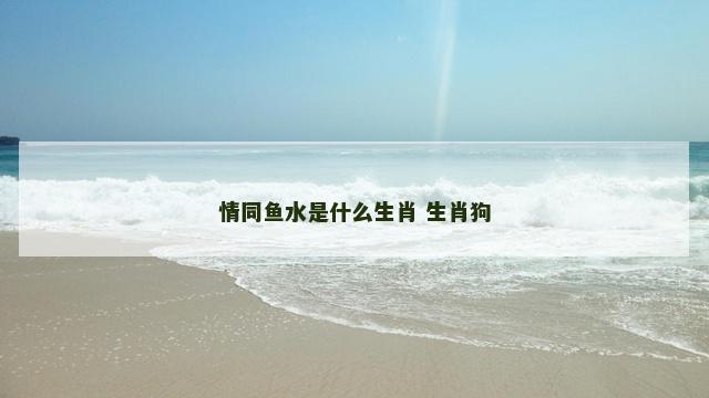 情同鱼水是什么生肖 生肖狗