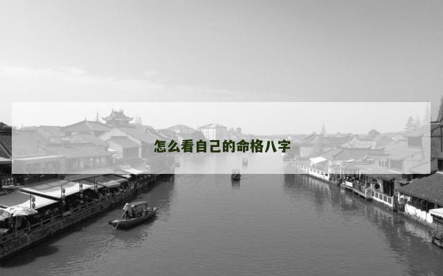 怎么看自己的命格八字