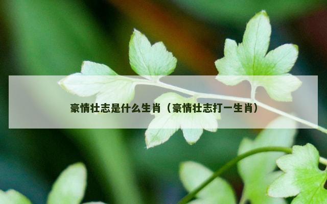 豪情壮志是什么生肖（豪情壮志打一生肖）