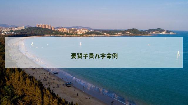 妻贤子贵八字命例