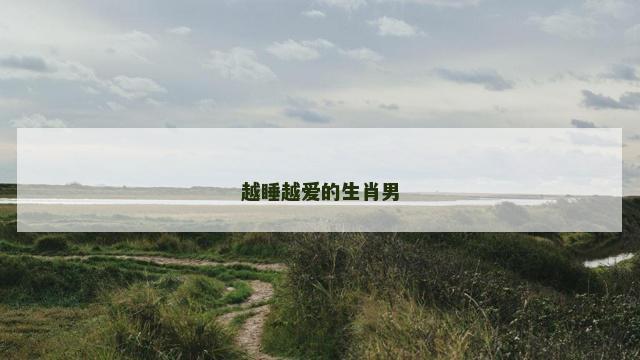 越睡越爱的生肖男