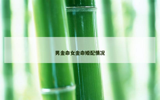 男金命女金命婚配情况