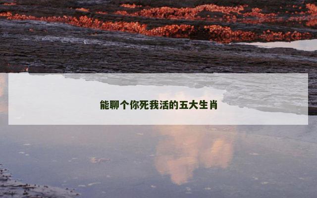能聊个你死我活的五大生肖