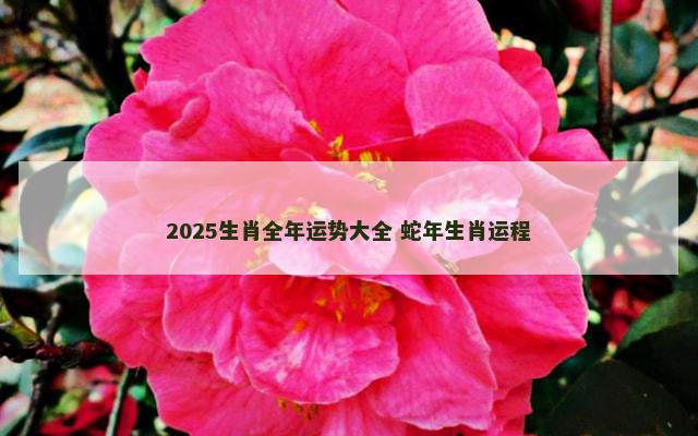 2025生肖全年运势大全 蛇年生肖运程