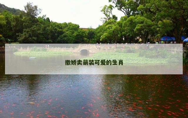 撒娇卖萌装可爱的生肖