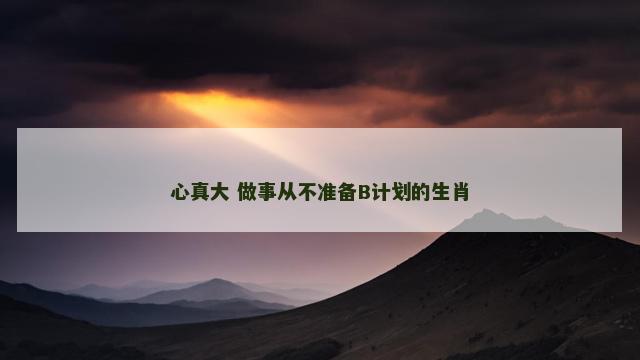 心真大 做事从不准备B计划的生肖