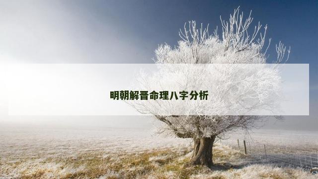明朝解晋命理八字分析