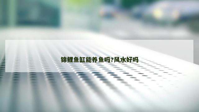 锦鲤鱼缸能养鱼吗?风水好吗