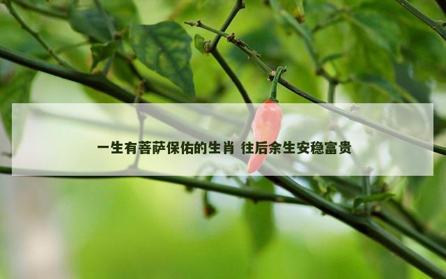 一生有菩萨保佑的生肖 往后余生安稳富贵