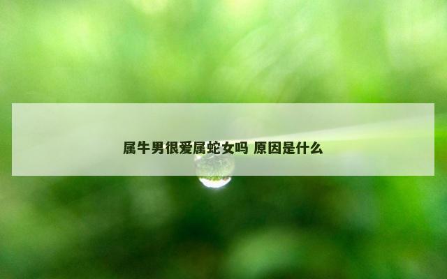 属牛男很爱属蛇女吗 原因是什么