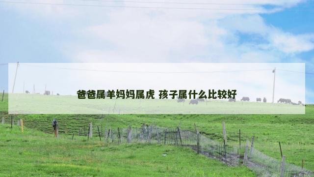 爸爸属羊妈妈属虎 孩子属什么比较好