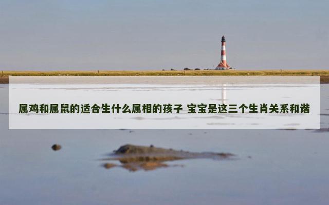 属鸡和属鼠的适合生什么属相的孩子 宝宝是这三个生肖关系和谐