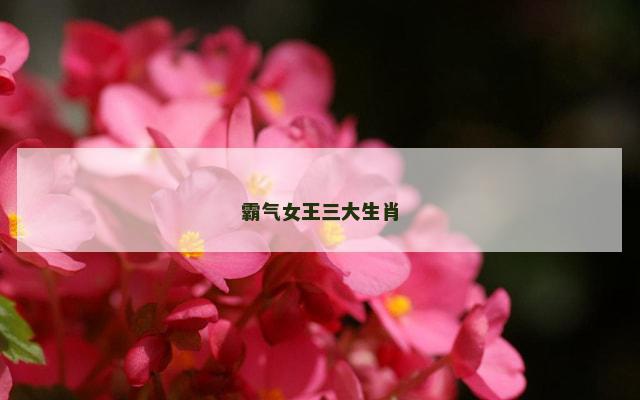 霸气女王三大生肖