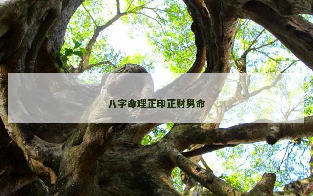 八字命理正印正财男命