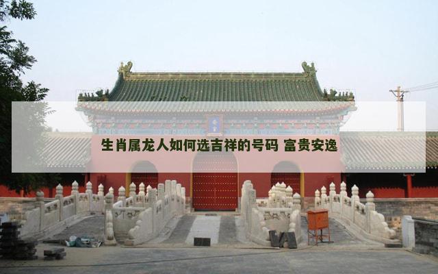 生肖属龙人如何选吉祥的号码 富贵安逸