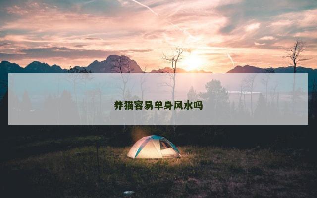 养猫容易单身风水吗