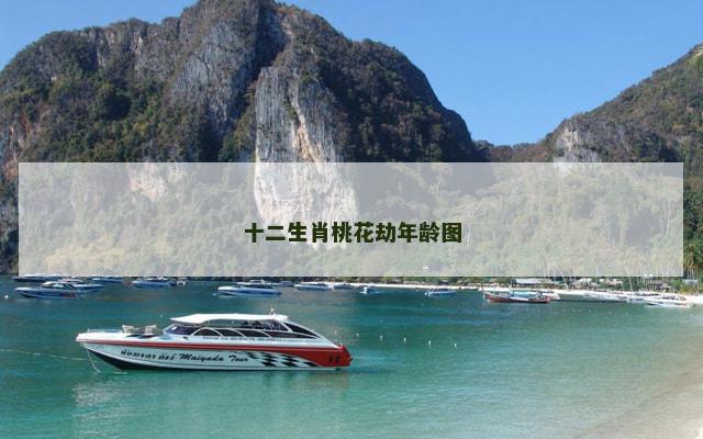 十二生肖桃花劫年龄图