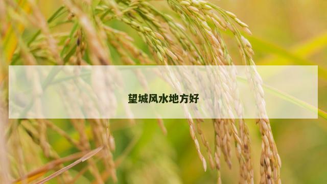 望城风水地方好