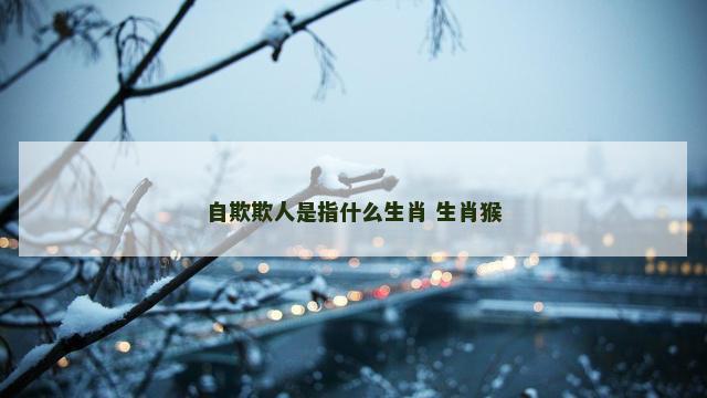 自欺欺人是指什么生肖 生肖猴