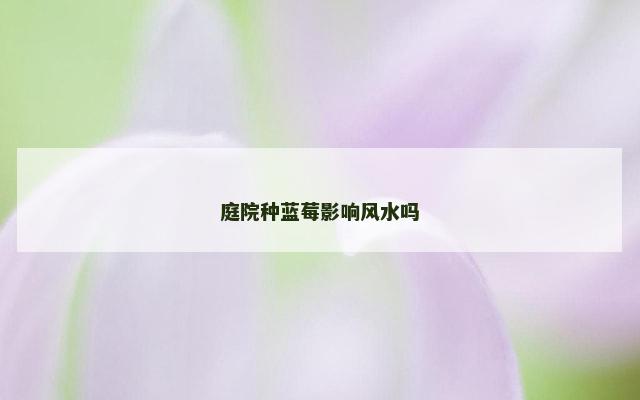 庭院种蓝莓影响风水吗
