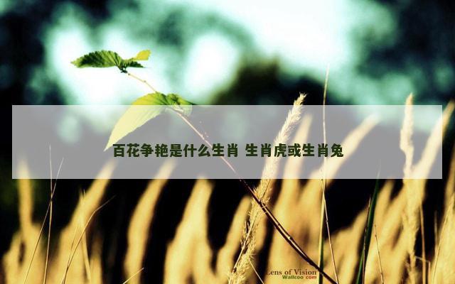 百花争艳是什么生肖 生肖虎或生肖兔
