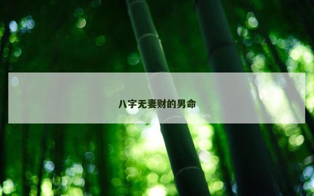八字无妻财的男命