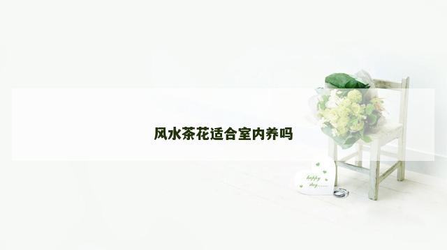 风水茶花适合室内养吗
