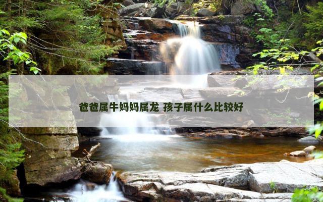 爸爸属牛妈妈属龙 孩子属什么比较好