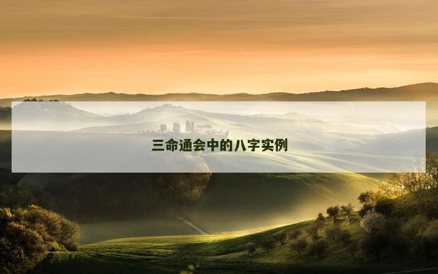 三命通会中的八字实例