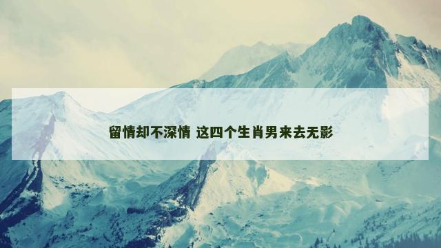 留情却不深情 这四个生肖男来去无影