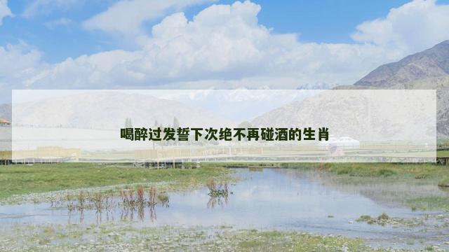喝醉过发誓下次绝不再碰酒的生肖