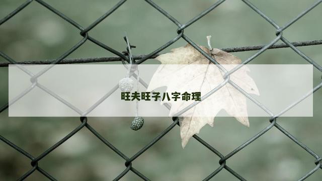 旺夫旺子八字命理