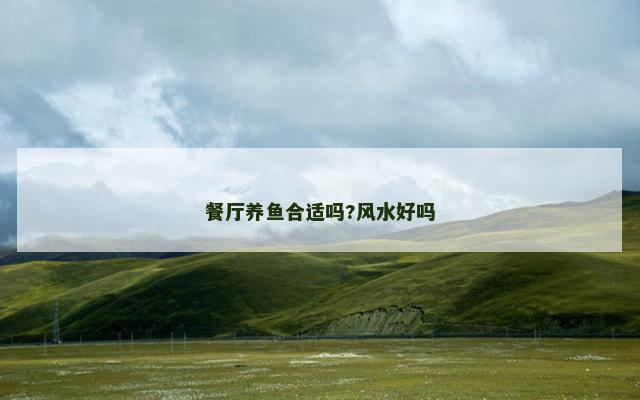 餐厅养鱼合适吗?风水好吗
