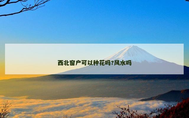 西北窗户可以种花吗?风水吗