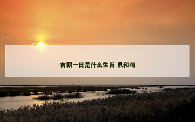 有朝一日是什么生肖 鼠和鸡