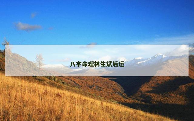 八字命理林生斌后运