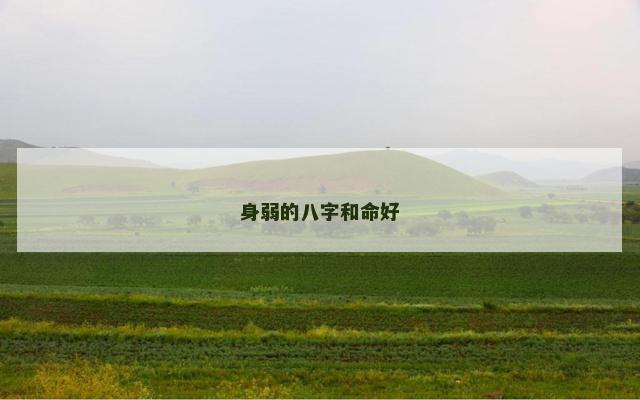 身弱的八字和命好