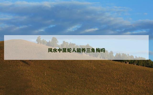 风水中属蛇人能养三角梅吗