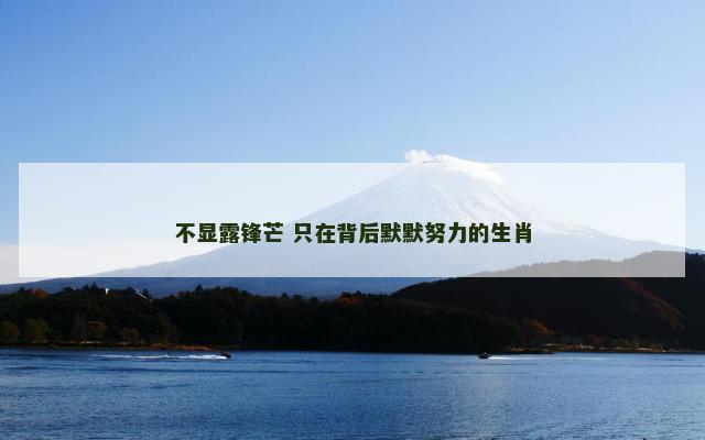 不显露锋芒 只在背后默默努力的生肖