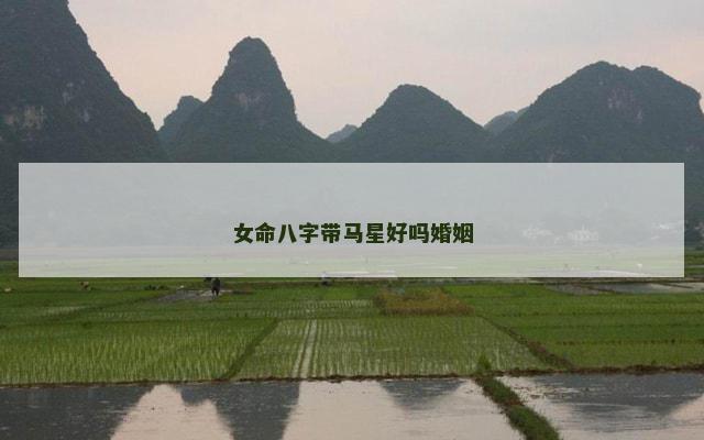 女命八字带马星好吗婚姻
