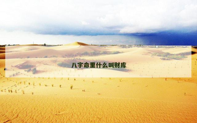 八字命里什么叫财库